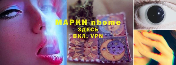 прущие грибы Алзамай