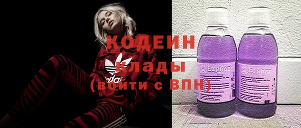 прущие грибы Алзамай