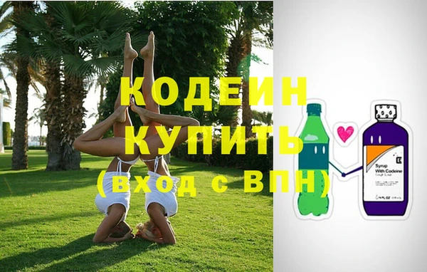 прущие грибы Алзамай